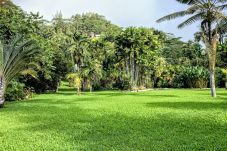 House in Mahina - TAHITI - Fare Mitinui Surf Break