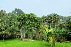 House in Mahina - TAHITI - Fare Mitinui Surf Break