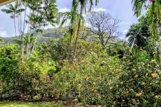 House in Mahina - TAHITI - Fare Mitinui Surf Break