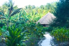 Bungalow in Hipu - TAHAA - Bungalow Mao'hi