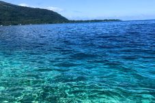 Bungalow in Taiarapu-Est - TAHITI ITI - Bungalow Ariitea