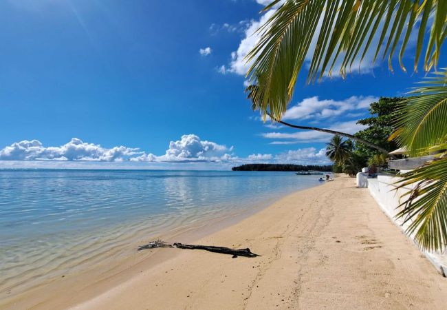  in Hauru - MOOREA - STUDIO CORAIL MOANA